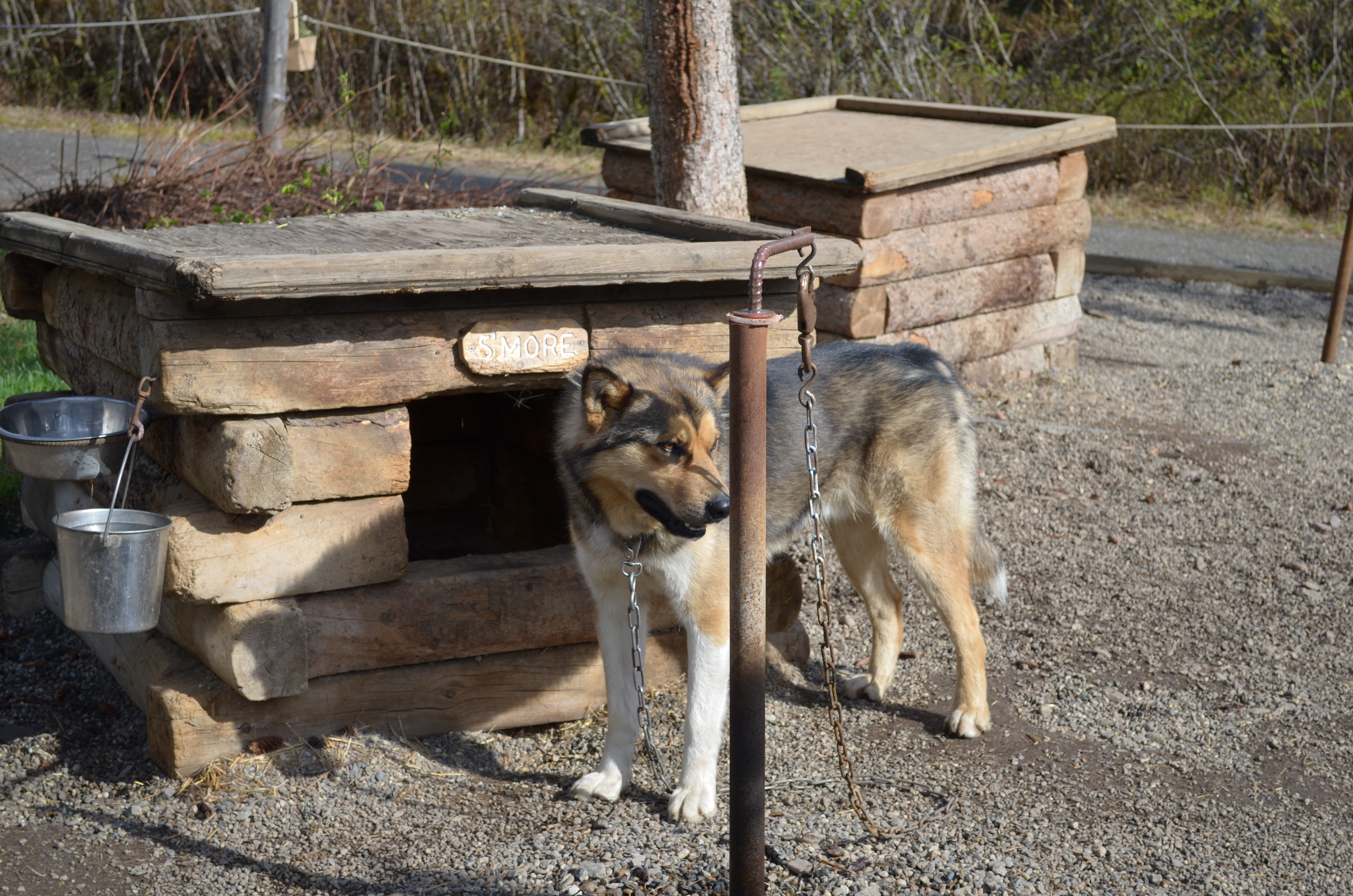 ./2017/08 - Alaska Cruise/03 - Denali/DSC_0292.JPG